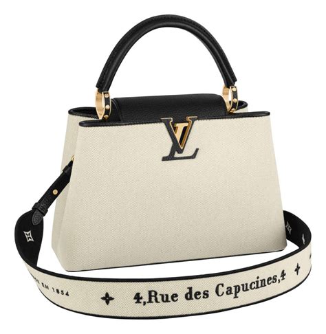 lv cappucine bag|louis vuitton capucine bag price.